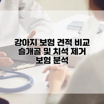 강아지 보험 견적 비교 슬개골 및 치석 제거 보험 분석