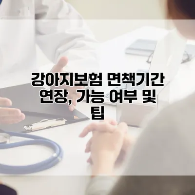 강아지보험 면책기간 연장, 가능 여부 및 팁