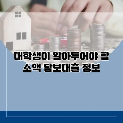 대학생이 알아두어야 할 소액 담보대출 정보