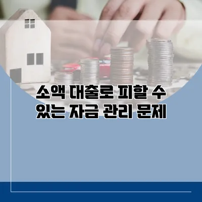 소액 대출로 피할 수 있는 자금 관리 문제