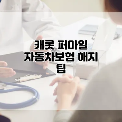 캐롯 퍼마일 자동차보험 해지 팁