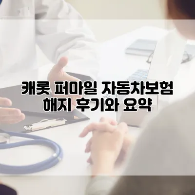 캐롯 퍼마일 자동차보험 해지 후기와 요약