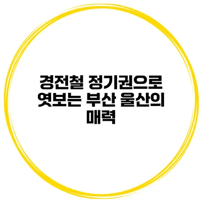 경전철 정기권으로 엿보는 부산 울산의 매력