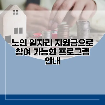 노인 일자리 지원금으로 참여 가능한 프로그램 안내