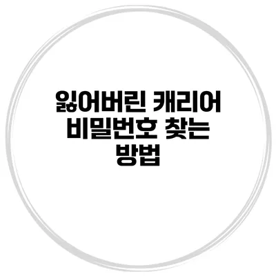 잃어버린 캐리어 비밀번호 찾는 방법